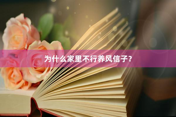 为什么家里不行养风信子？